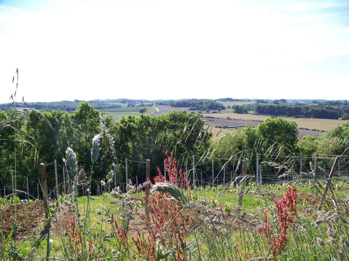 Gite, Jacuzzi & Vin Au Grenier De Madiran Exteriér fotografie